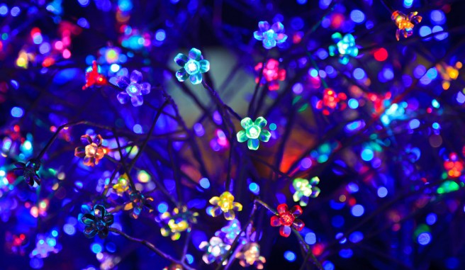 LED Lights in multicolor